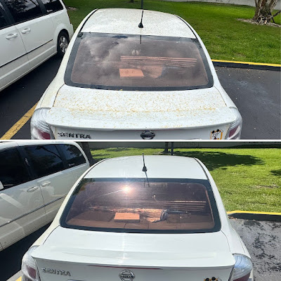 nissan sentra trunk pollen + sap film removed